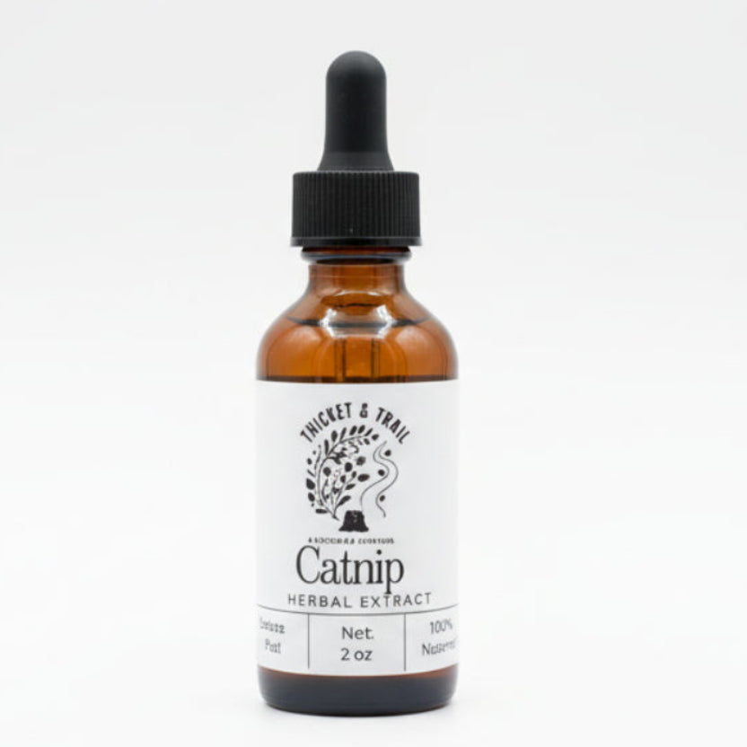 Catnip